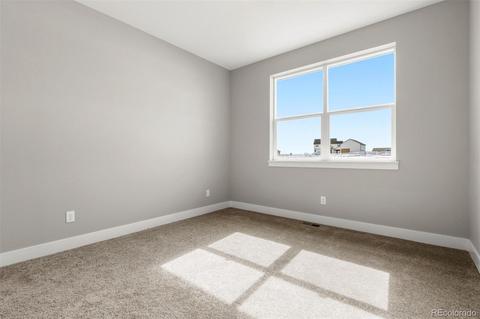 11032 E 162nd Pl, Brighton, CO 80602 photo 26