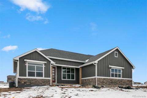11032 E 162nd Pl, Brighton, CO 80602 photo 3
