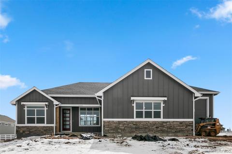 11032 E 162nd Pl, Brighton, CO 80602 photo 2