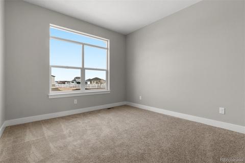 11032 E 162nd Pl, Brighton, CO 80602 photo 15