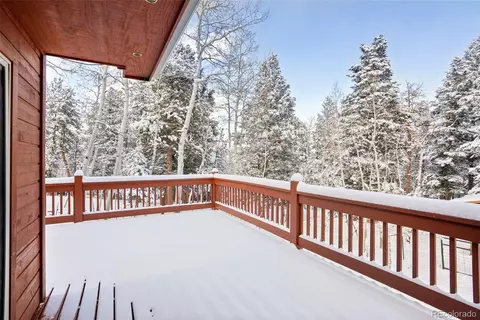 228 Beaver Trl, Bailey, CO 80421 photo 27