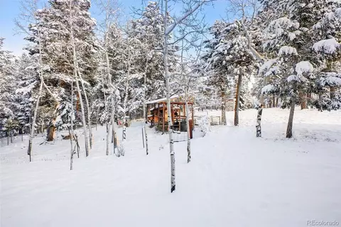 228 Beaver Trl, Bailey, CO 80421 photo 32