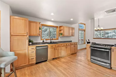 228 Beaver Trl, Bailey, CO 80421 photo 14