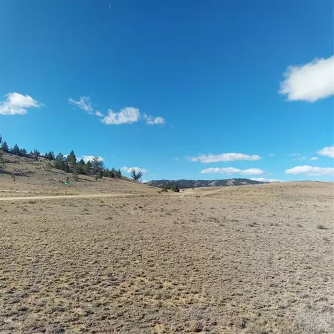 3552 Ute Trce, Hartsel, CO 80449