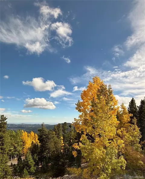 Other - 10766 Timothys Dr, Conifer, CO 80433 photo 7 of 10