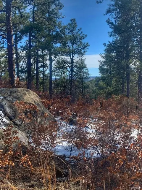 Lot 122 Spanish Highlands, Boncarbo, CO 81024