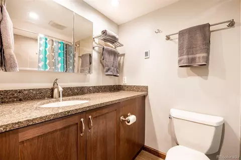 165 Wheeler Pl #403, Frisco, CO 80443 photo 11