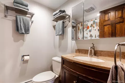 165 Wheeler Pl #403, Frisco, CO 80443 photo 18