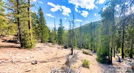 111 Kevin Gulch Rd, Leadville, CO 80461