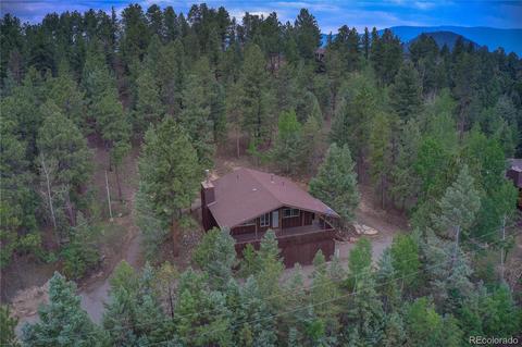 222 N Circle Dr, Bailey, CO 80421 photo 2