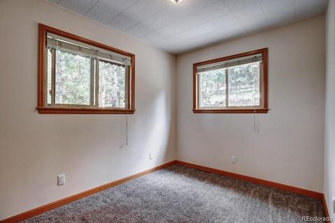 222 N Circle Dr, Bailey, CO 80421 photo 18