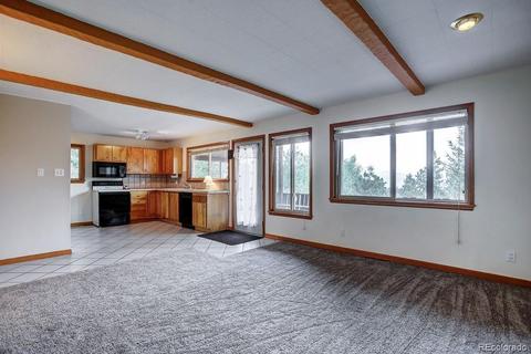 222 N Circle Dr, Bailey, CO 80421 photo 17