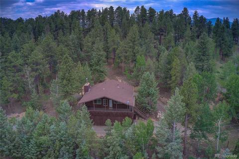 222 N Circle Dr, Bailey, CO 80421 photo 1