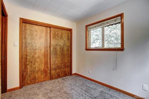 222 N Circle Dr, Bailey, CO 80421 photo 20