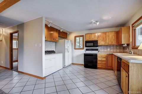 222 N Circle Dr, Bailey, CO 80421 photo 8