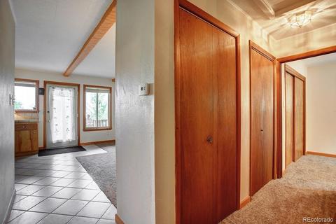 222 N Circle Dr, Bailey, CO 80421 photo 21