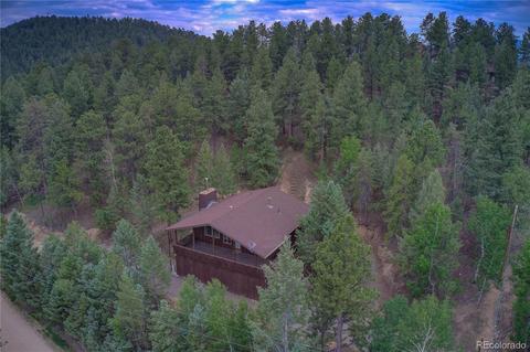 222 N Circle Dr, Bailey, CO 80421 photo 7