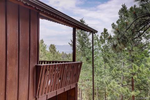 222 N Circle Dr, Bailey, CO 80421 photo 30
