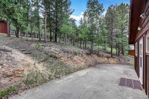 222 N Circle Dr, Bailey, CO 80421 photo 31