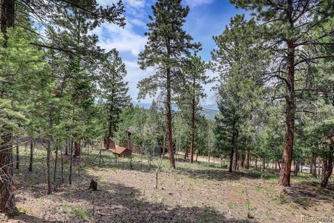 222 N Circle Dr, Bailey, CO 80421 photo 6