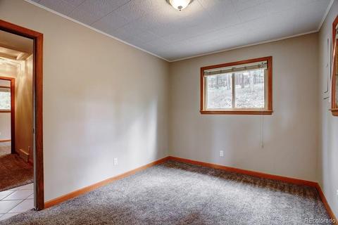 222 N Circle Dr, Bailey, CO 80421 photo 23