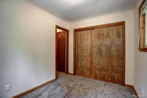 222 N Circle Dr, Bailey, CO 80421 photo 19