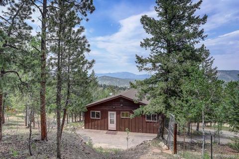 222 N Circle Dr, Bailey, CO 80421 photo 5