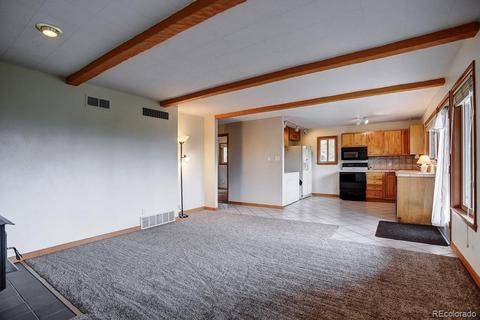 222 N Circle Dr, Bailey, CO 80421 photo 16