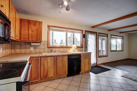 222 N Circle Dr, Bailey, CO 80421 photo 10