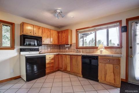 222 N Circle Dr, Bailey, CO 80421 photo 9