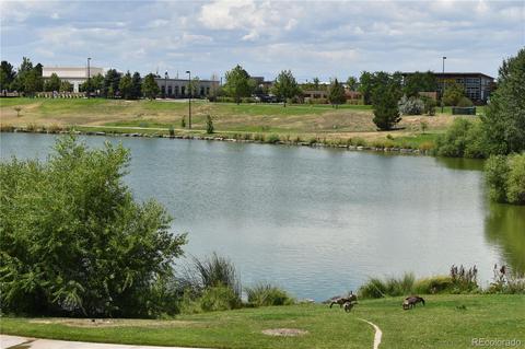 18619 E 50th Pl, Denver, CO 80249 photo 32