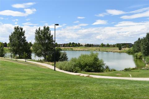 18619 E 50th Pl, Denver, CO 80249 photo 35