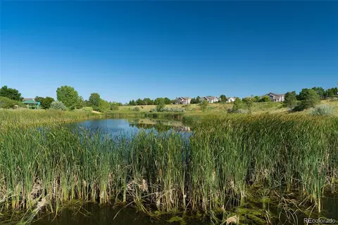 6323 E 126th Pl, Thornton, CO 80602 photo 31