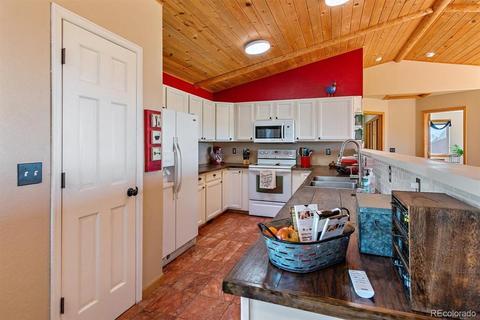 196 Conifer Dr, Bailey, CO 80421 photo 13