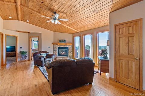 196 Conifer Dr, Bailey, CO 80421 photo 9
