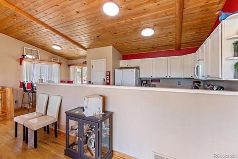 196 Conifer Dr, Bailey, CO 80421 photo 15