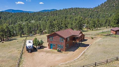 196 Conifer Dr, Bailey, CO 80421 photo 30
