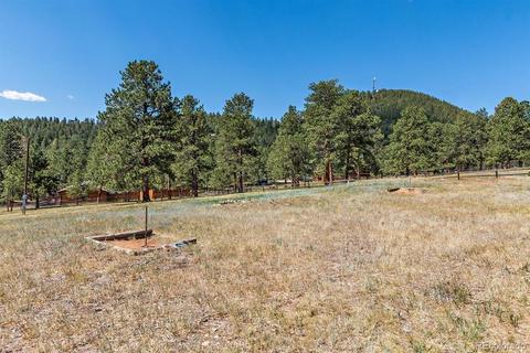 196 Conifer Dr, Bailey, CO 80421 photo 36