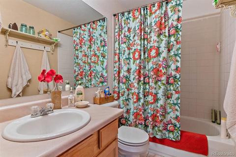 196 Conifer Dr, Bailey, CO 80421 photo 24