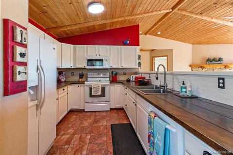 196 Conifer Dr, Bailey, CO 80421 photo 12