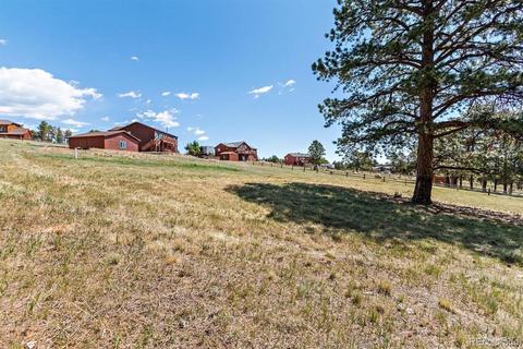 196 Conifer Dr, Bailey, CO 80421 photo 32