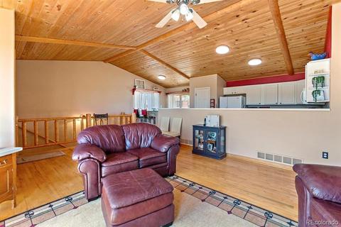 196 Conifer Dr, Bailey, CO 80421 photo 16