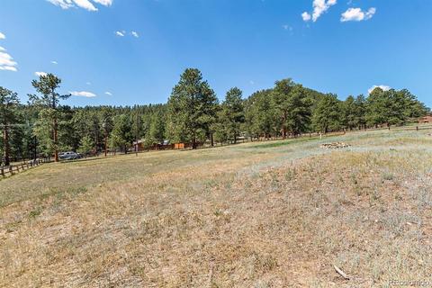 196 Conifer Dr, Bailey, CO 80421 photo 34