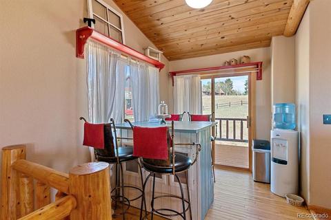 196 Conifer Dr, Bailey, CO 80421 photo 14