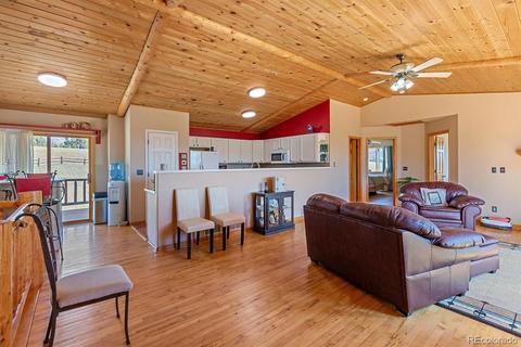 196 Conifer Dr, Bailey, CO 80421 photo 8