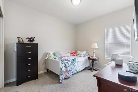 1870 Paley Dr, Windsor, CO 80550 photo 5