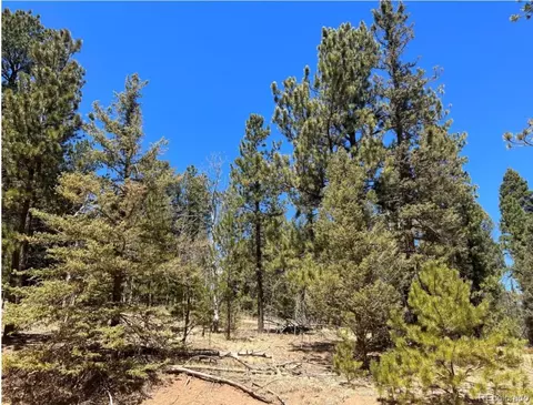 121 W Lake Dr, Divide, CO 80814