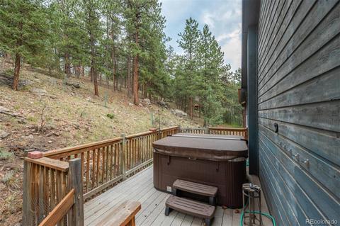 558 Mockingbird Trl, Bailey, CO 80421 photo 35