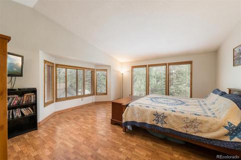 558 Mockingbird Trl, Bailey, CO 80421 photo 17