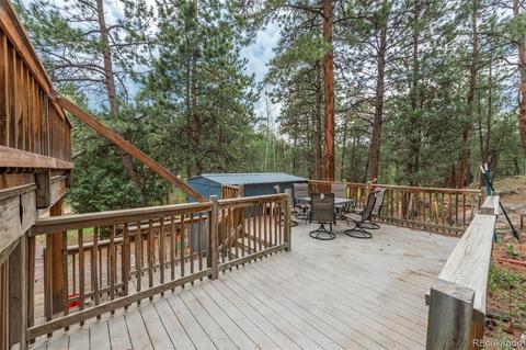 558 Mockingbird Trl, Bailey, CO 80421 photo 33